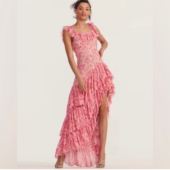 NWT LoveShackFancy Floral Winslow Maxi Dress in Autumn Rose Size 4 - Picture 12 of 16